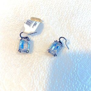 Woman’s Costume Crystal Diamond Earrings
